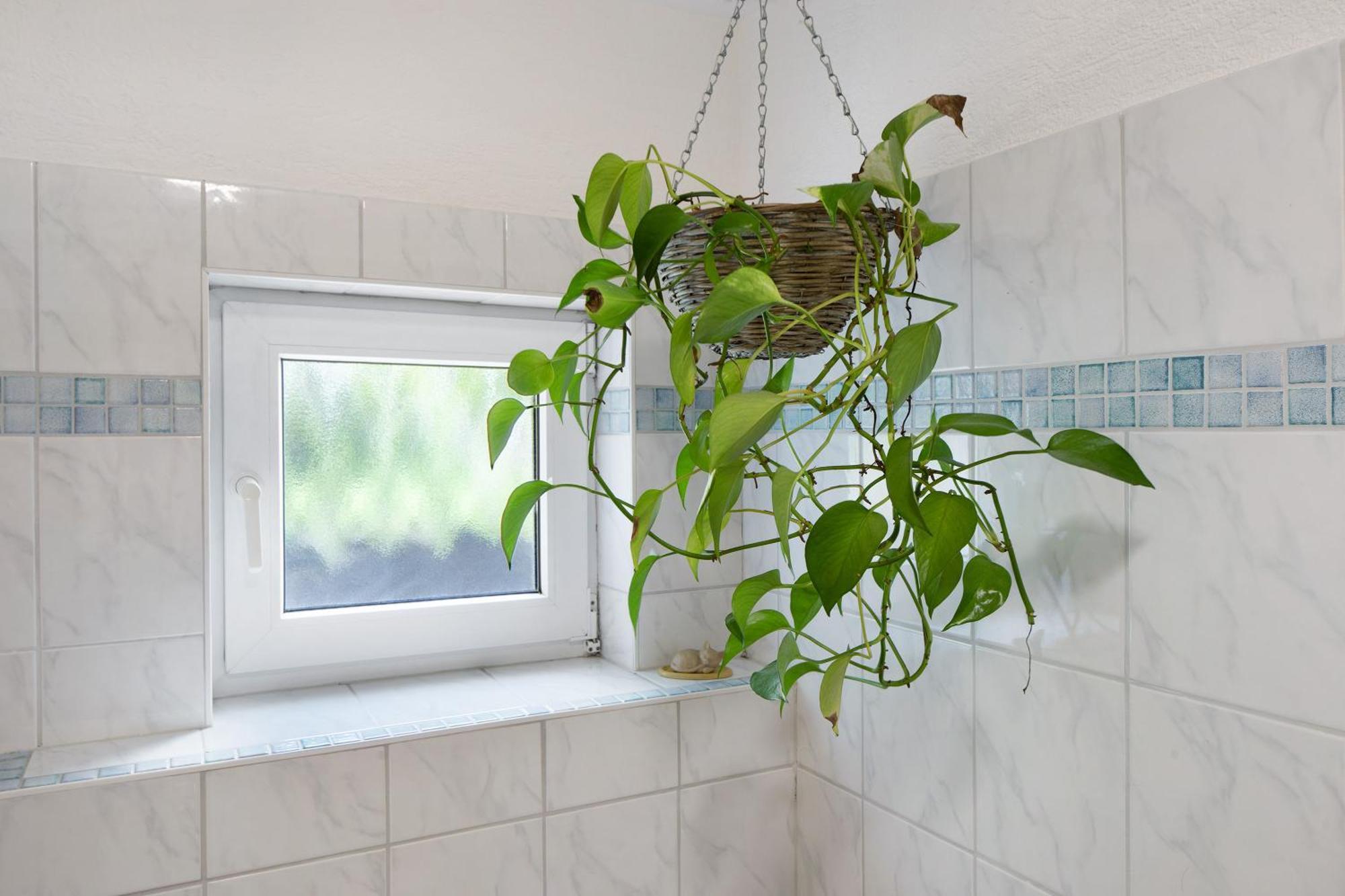 Ferienwohnung Zur Schauinslandbahn Horben Exterior foto